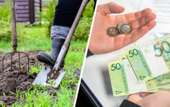 Природоохрана пригрозила штрафом в 800 рублей белорусам за невыполнение одной обязательной работы на даче в конце августа — Полезно