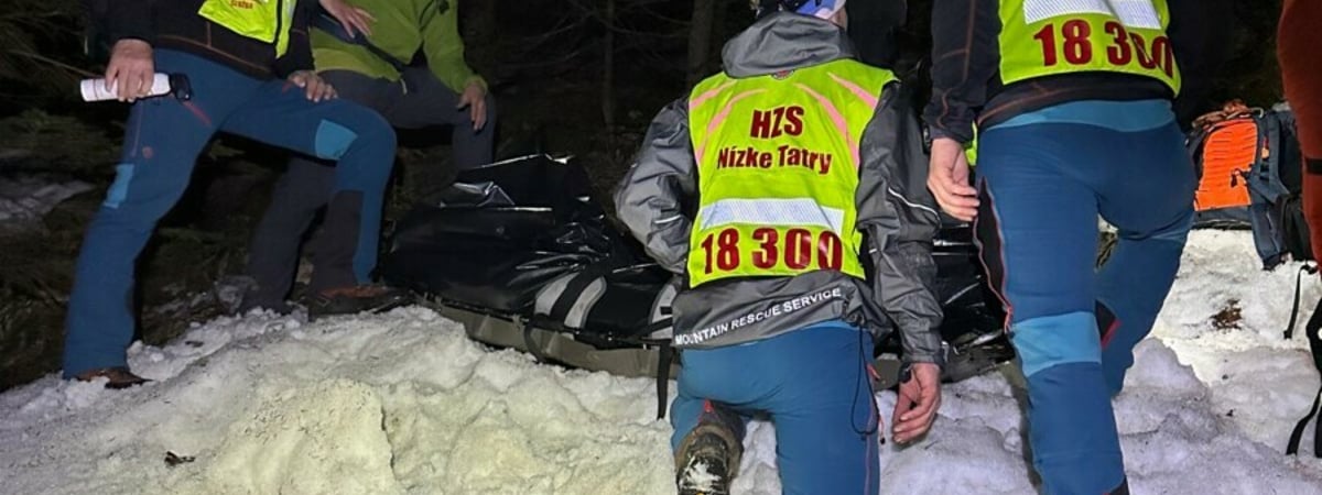 Белоруска погибла после нападения медведя в горах Словакии — Фото