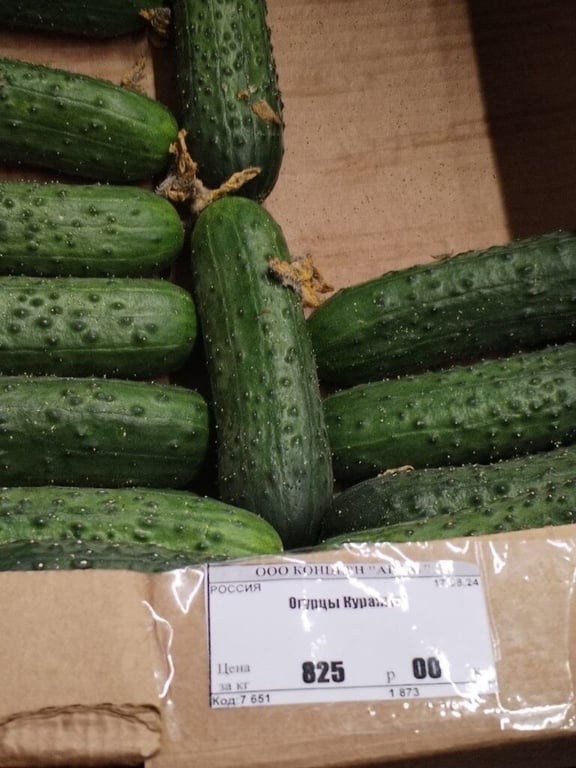 Белорусы собрали продуктовые корзины в Питере и Магадане и сравнили цены