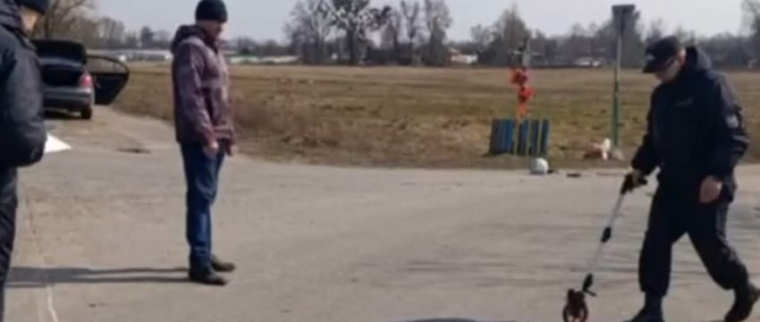 Роковое утро: авария в Столинском районе унесла две жизни. Следователи возбудили уголовное дело