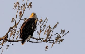 Литва согласует с соседними государствами строительство глубинного могильника АЭС