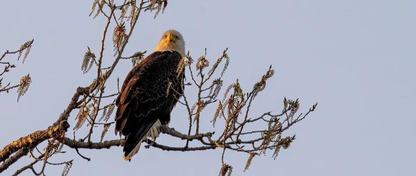 Литва согласует с соседними государствами строительство глубинного могильника АЭС