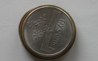 Белорус платил по долгам рубль в месяц, а потом пожаловался, что приставы ущемляют его мужское достоинство