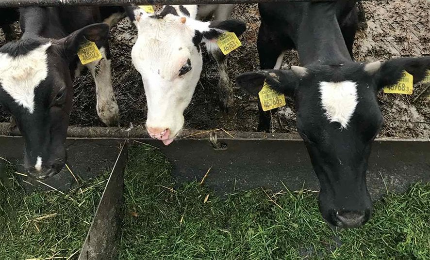 Фото: Генеральная прокуратура