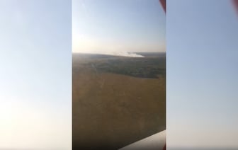Минлесхоз отправил сотню человек и десятки машин на тушение пожаров в лесах на юге Беларуси — Видео