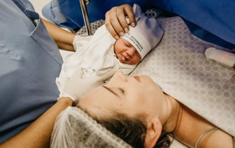 В Рогачеве лошадь ударила копытом четырехлетнюю девочку — ребенок в больнице с многочисленными травмами