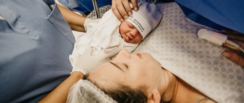 В Рогачеве лошадь ударила копытом четырехлетнюю девочку — ребенок в больнице с многочисленными травмами