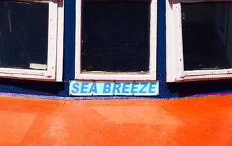 Июньский день в Новополоцке: фотопрогулка по улицам города