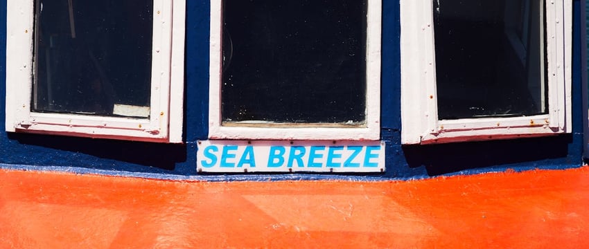 Июньский день в Новополоцке: фотопрогулка по улицам города