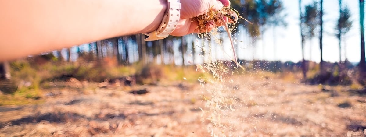 Палочка-выручалочка настоящего огородника. Как использовать опилки для удобрения, утепления и мульчирования почвы — Полезно