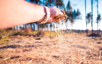Палочка-выручалочка настоящего огородника. Как использовать опилки для удобрения, утепления и мульчирования почвы — Полезно