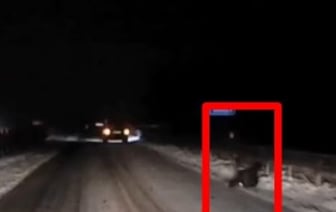 Возле Бреста пьяный пешеход сидел на проезжей части