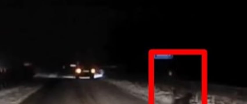 Возле Бреста пьяный пешеход сидел на проезжей части