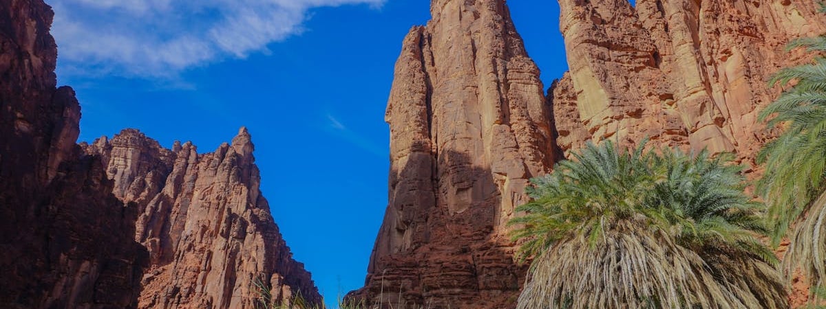 Саудиты в ноябре повысят цены на нефть для Азии и снизят для остальных регионов