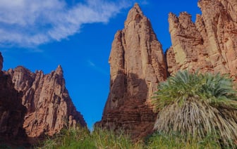 Саудиты в ноябре повысят цены на нефть для Азии и снизят для остальных регионов