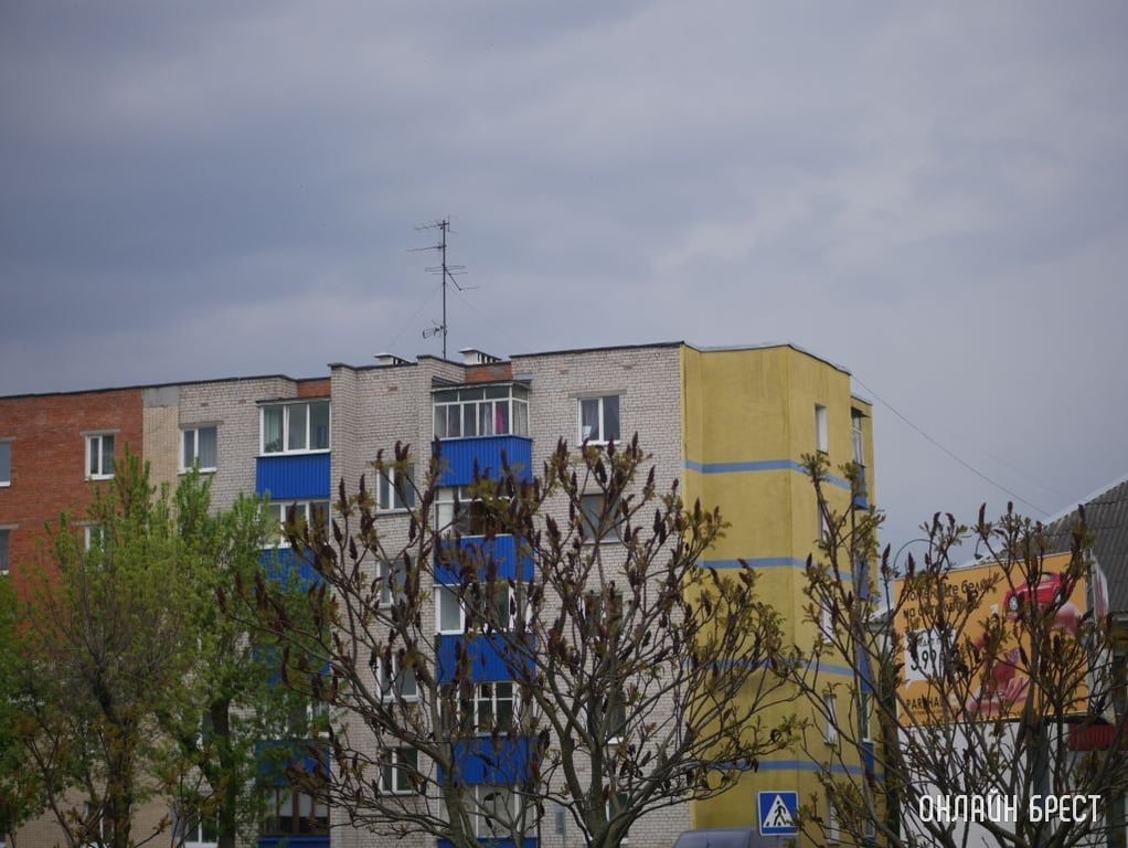 Фото носит иллюстративный характер