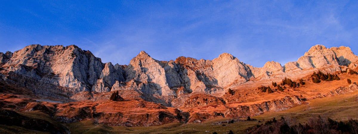 Apple представила Индонезии план инвестиций ради отмены запрета продаж iPhone