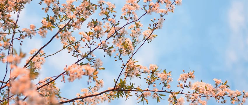 Евгения Неверчик из Новополоцка представит Беларусь на Международном конкурсе красоты «Мисс Офис»