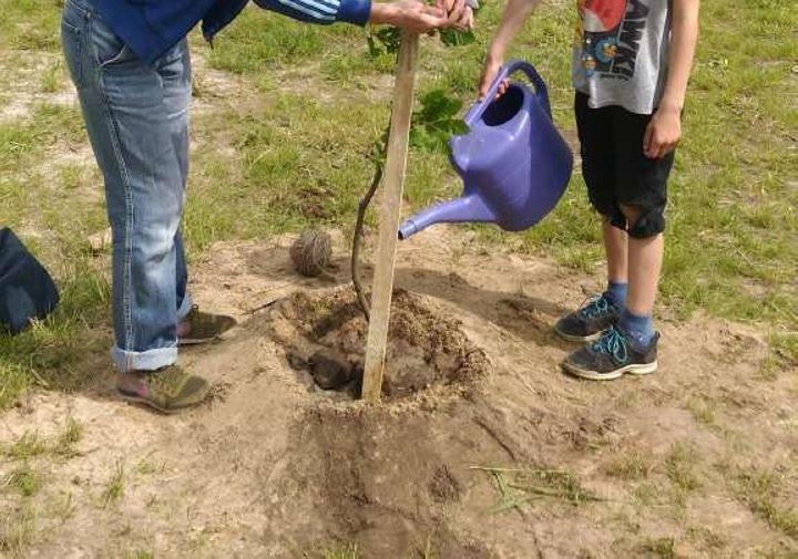 Фото из открытых источников (иллюстративное)