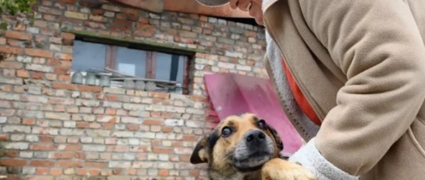 Как 75-летняя белоруска пережила клиническую смерть, потеряла дом при пожаре, ослепла, но сохранила оптимизм