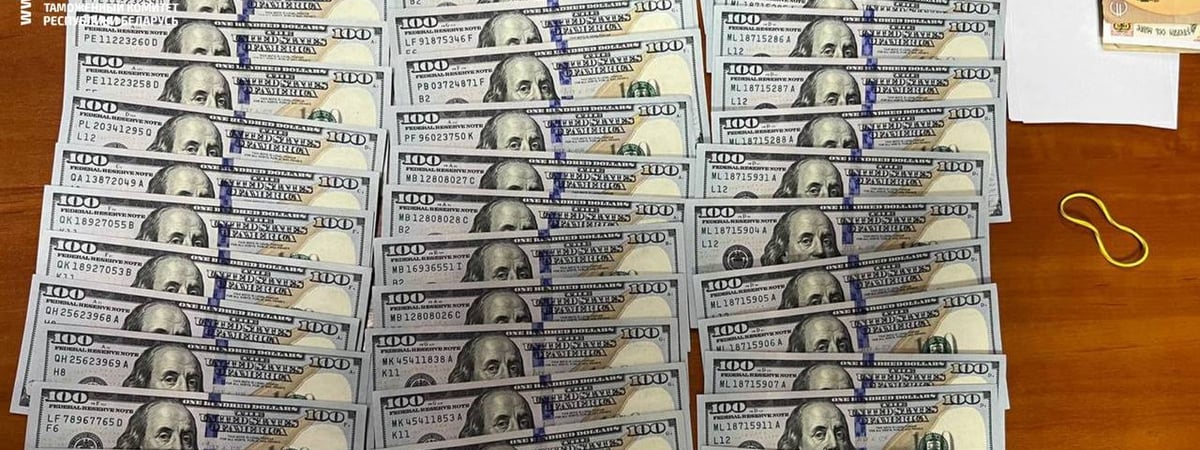 Слишком много долларов – гражданин России пытался ввезти в Беларусь крупную сумму денег