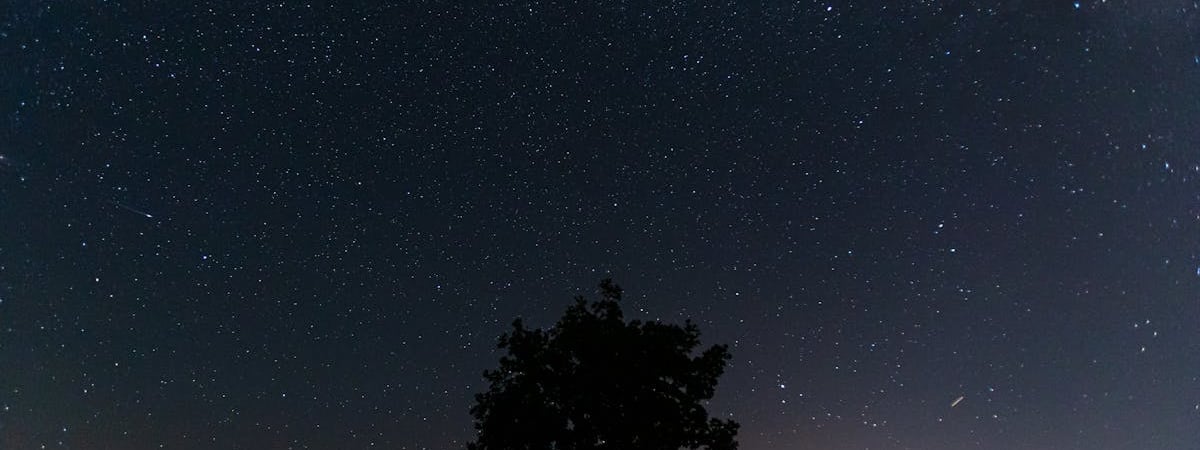 Силовики вломились в квартиру гомельской психологине Алле Мартинович