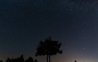 Силовики вломились в квартиру гомельской психологине Алле Мартинович