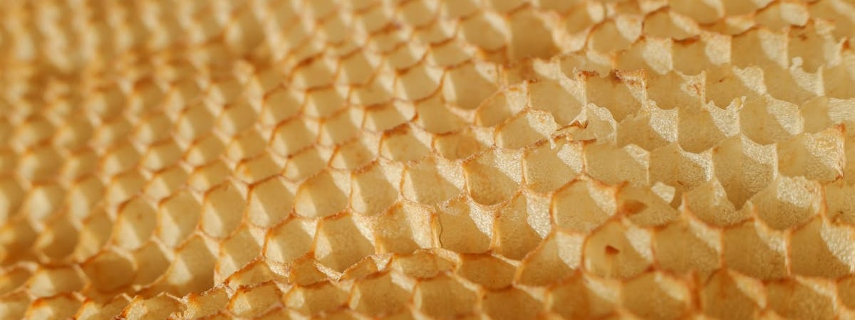 Лукашенко озвучил свою версию отхода участников нападения на «Крокус»