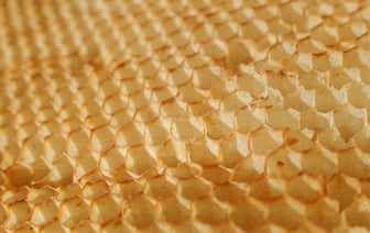 Лукашенко озвучил свою версию отхода участников нападения на «Крокус»