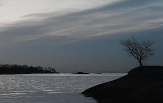 В Беларуси сведения о малом и среднем бизнесе госорганы могут получить онлайн