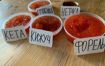 4 ингредиента. В Госстандарте рассказали, что белорусам искать на этикетке настоящей красной икры — Полезно