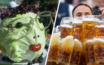 Как быстро и вкусно приготовить капусту? Нашли рецепт, если хочется «квасить», а не квасить — Полезно