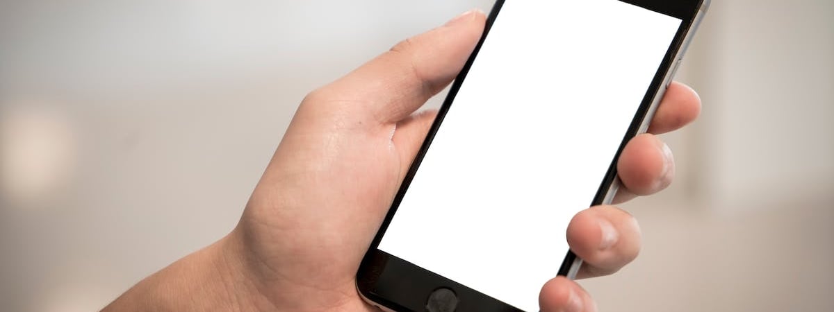 В лесу нашли останки минского бизнесмена, убитого в конце 1990-х