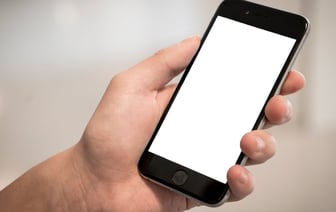 В лесу нашли останки минского бизнесмена, убитого в конце 1990-х