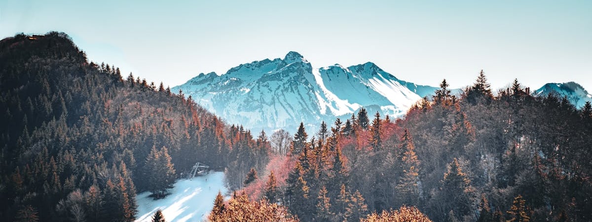 Макрон собрал министров в Елисейском дворце перед ключевым саммитом ЕС