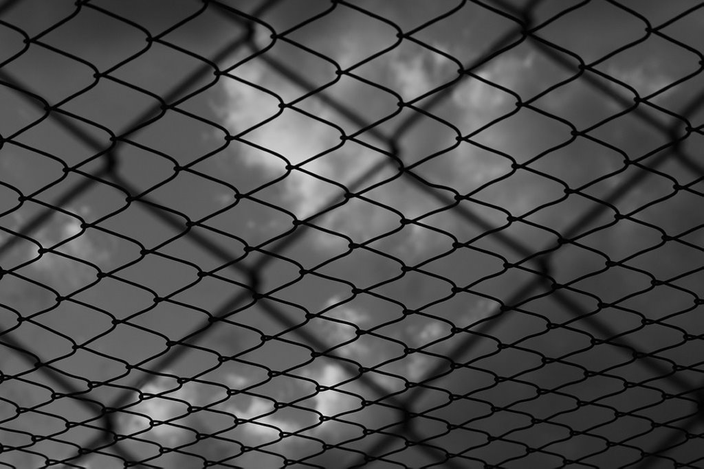 Фото: pixabay (иллюстративное)