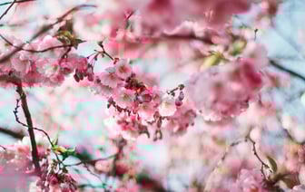 Пасхальное поздравление от епископа Полоцкого и Глубокского Игнатия