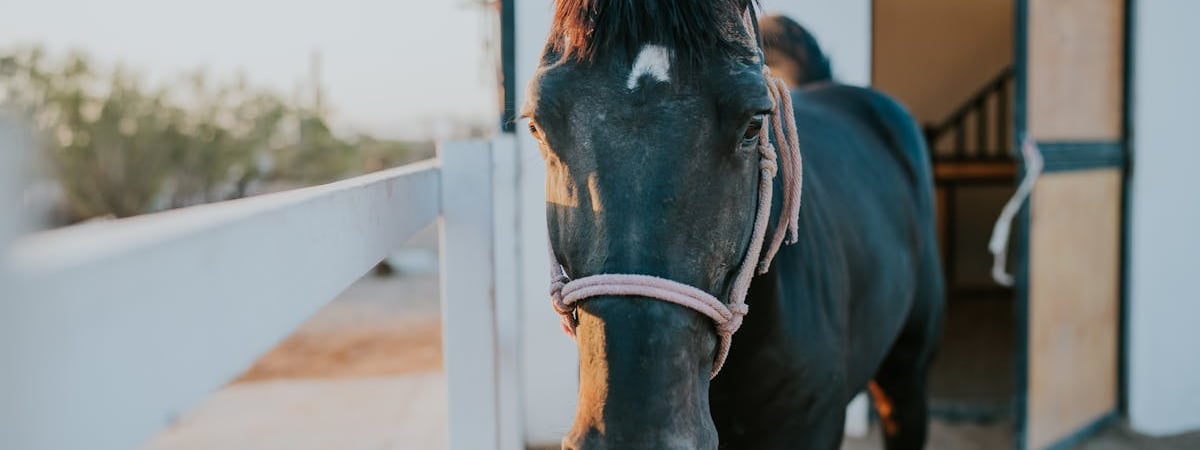 Глава ликвидированной партии «Зеленые» не вышел на свободу после 30 суток ареста
