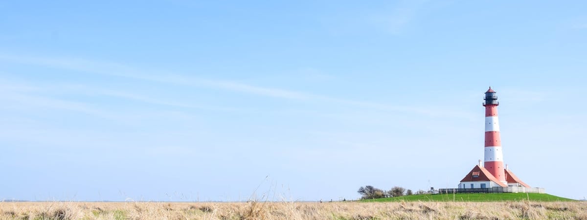 Лихорадка Западного Нила после укуса комара зафиксирована в пяти землях ФРГ