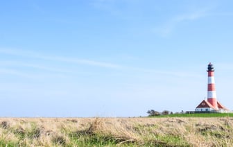 Лихорадка Западного Нила после укуса комара зафиксирована в пяти землях ФРГ