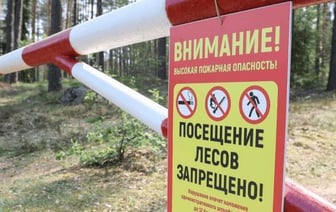 В Беларуси ввели первые ограничения на посещение лесов