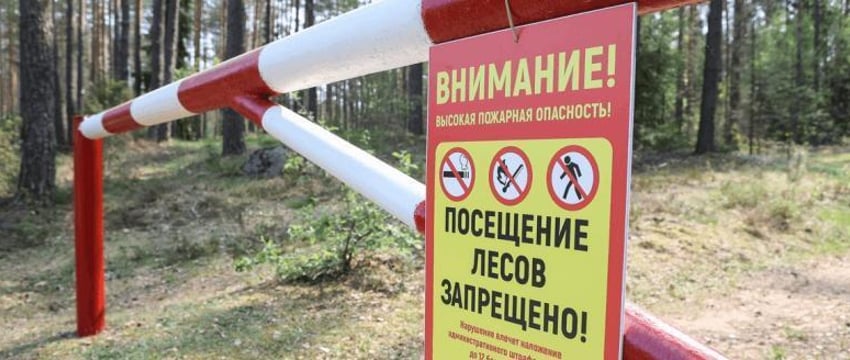 В Беларуси ввели первые ограничения на посещение лесов