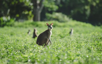 Россия за два года потеряла около 83 тысяч убитыми – анализ статистики