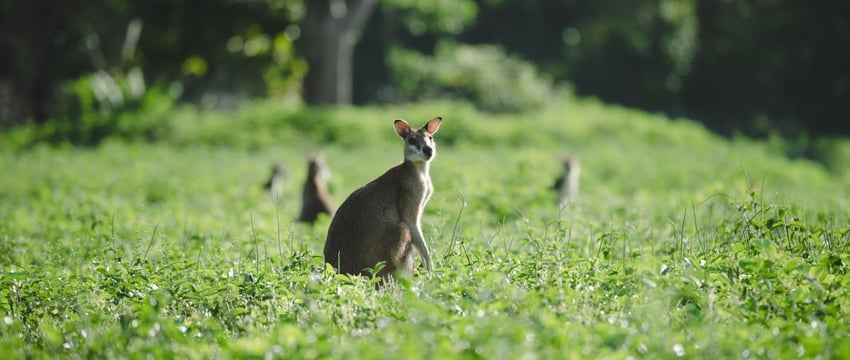 Россия за два года потеряла около 83 тысяч убитыми – анализ статистики