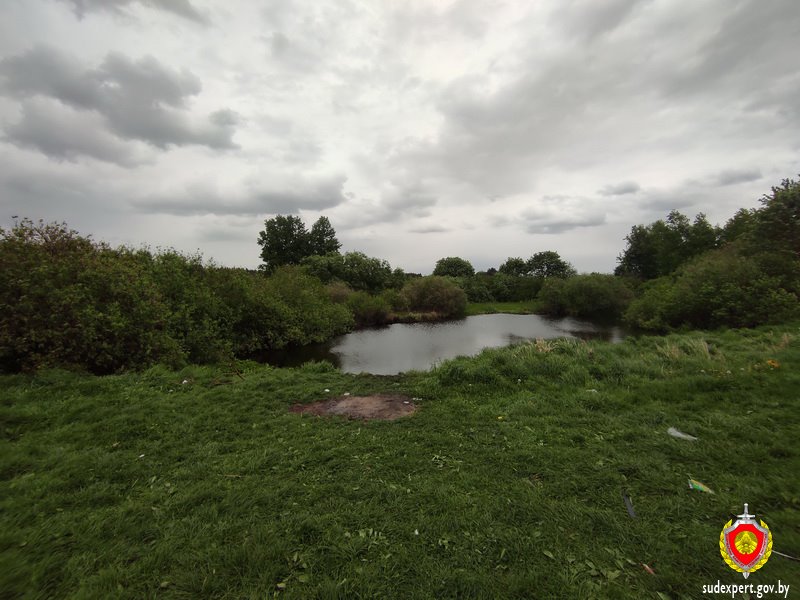 В Ляховичском районе в искусственном водоеме дети обнаружили боеприпасы