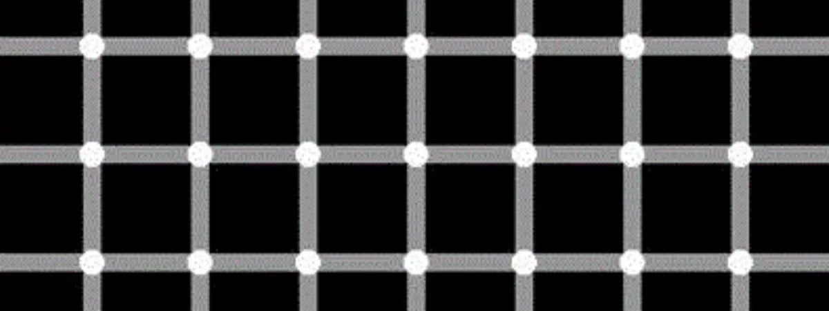 Сколько черных точек на картинке? От этой оптической иллюзии у некоторых «взорвался мозг»