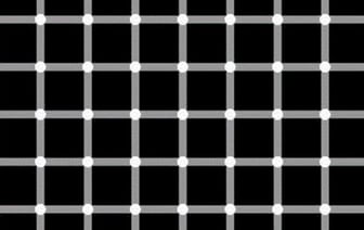 Сколько черных точек на картинке? От этой оптической иллюзии у некоторых «взорвался мозг»