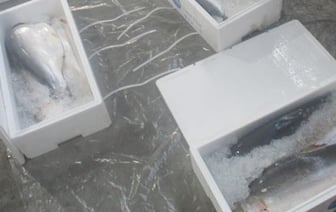 Белоруса задержали с двумя тонами форели в Смоленской области, ему грозит до 7 лет