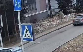 В Беларуси водитель MINI Cooper получил 10 протоколов от ГАИ