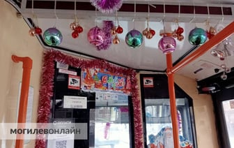 По Могилеву ездит троллейбус с новогодней елкой в салоне